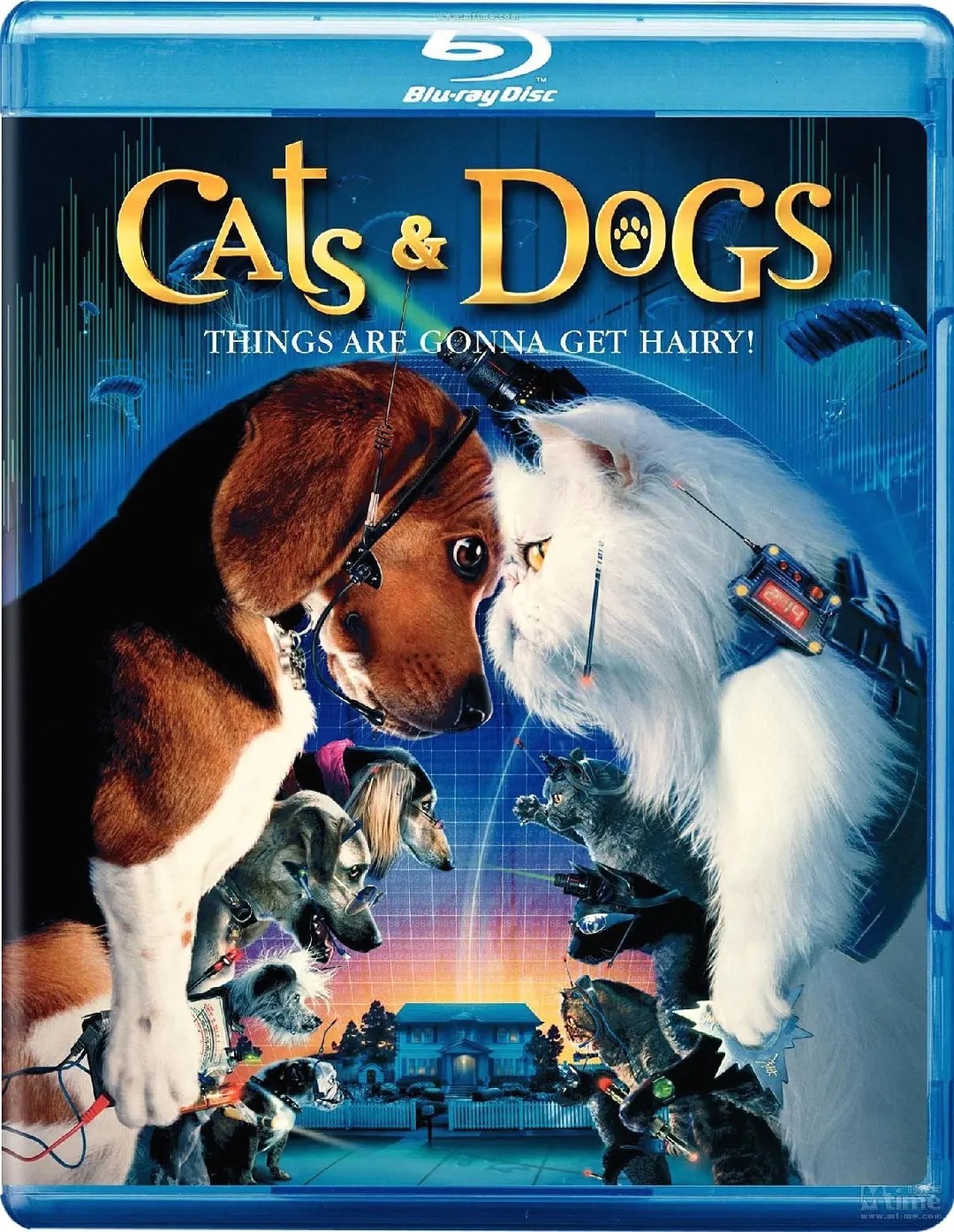 猫狗大战2001